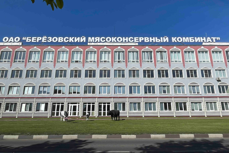ОАО «Березовский мясоконсервный комбинат», г. Береза
