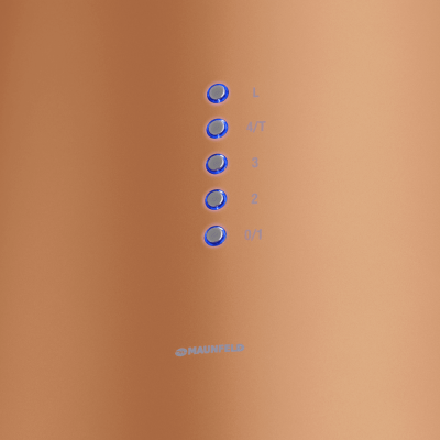 Кухонная вытяжка MAUNFELD Lee Wall 39 медный на сайте Белторгхолод