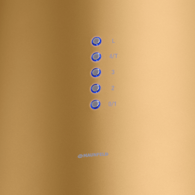 Кухонная вытяжка MAUNFELD Lee Wall 39 золотой на сайте Белторгхолод