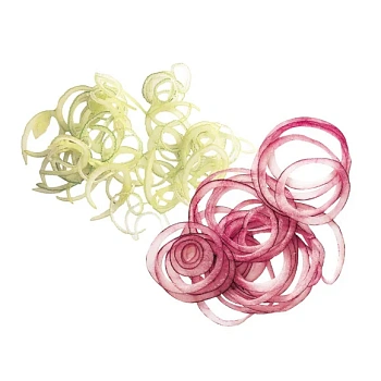  Диск Robot Coupe слайсер 1,0 мм (арт. 28062 / 28062W) на сайте Белторгхолод