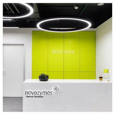 Подвесной светодиодный светильник The Vostok HALO 50 600 мм на сайте Белторгхолод