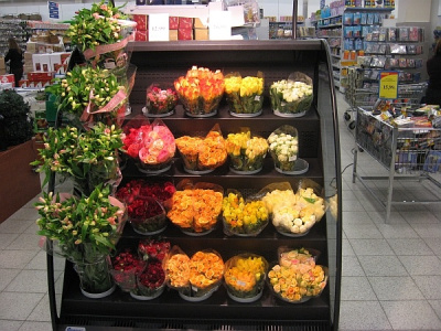 Витрина пристенная Costan Pluton Plugin на сайте Белторгхолод