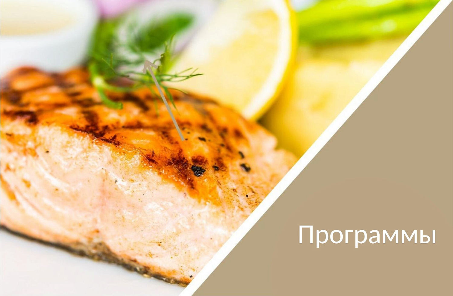 Модернизированные морские пароконвектоматы Abat