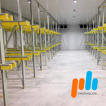  Холодильные склады ПрофХолод на сайте Белторгхолод