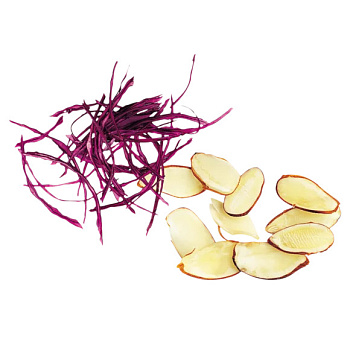  Диск Robot Coupe слайсер Миндаль 0,6 мм (арт. 28166 / 28166W) на сайте Белторгхолод