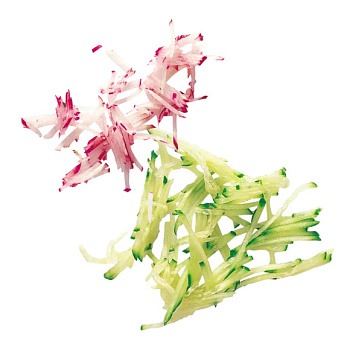  Диск Robot Coupe соломка 2×2 мм (арт. 28051 / 28051W) на сайте Белторгхолод